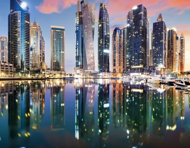 Business Setup & PRO Services